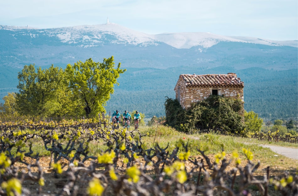 Paysage Ventoux