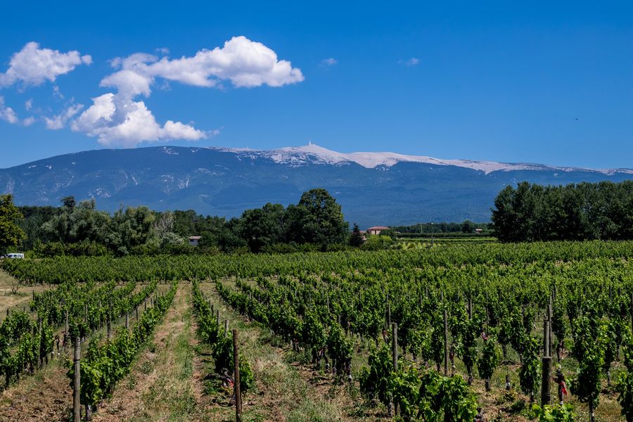 Domaine les Chancel