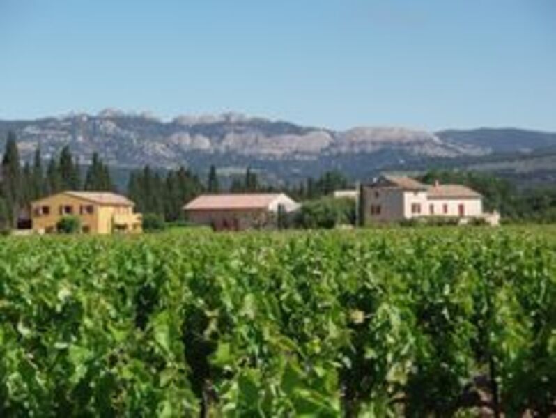 Domaine Aymard Vineyards