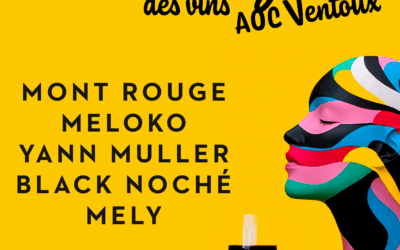 Le Grand Rendez-Vous des vins AOC Ventoux – Samedi 19 juillet : Hôtel-Dieu, Carpentras