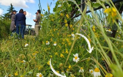 Rejoignez le groupe des agri-explorateurs du Ventoux !
