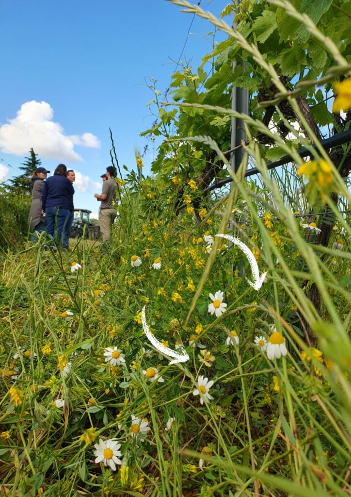Rejoignez le groupe des agri-explorateurs du Ventoux !