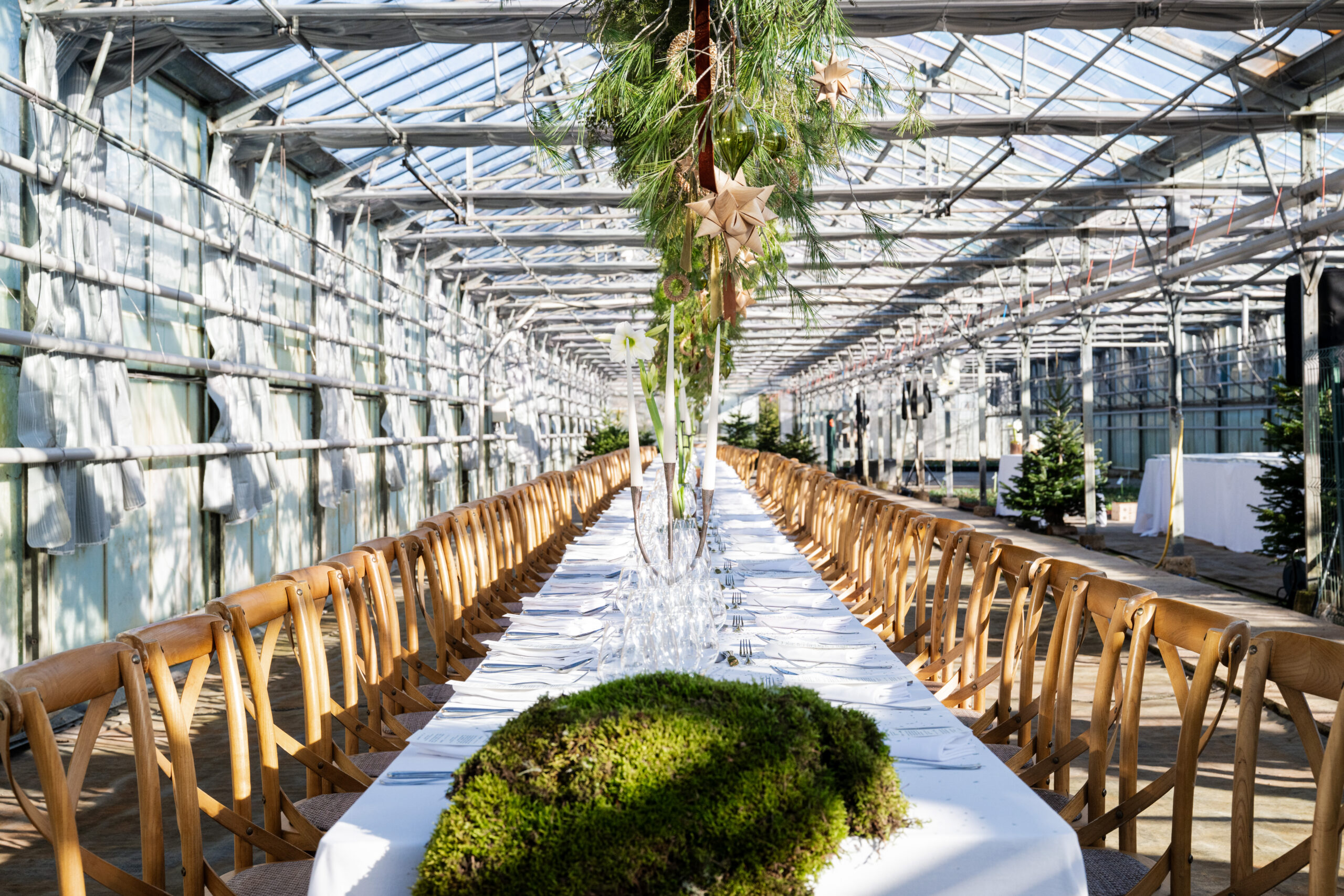 Les Banquets du Géant - Édition de Noël à la Pépinière Appy !