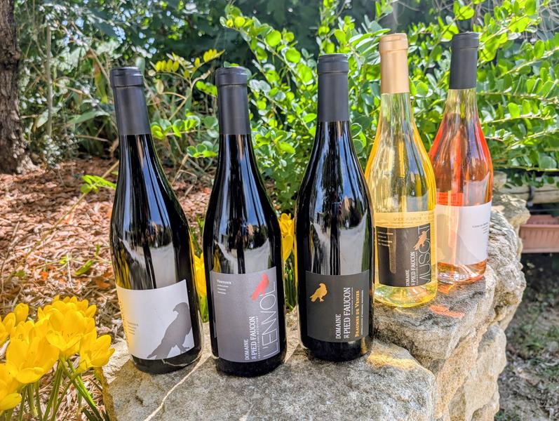 Domaine viticole Pied Faucon