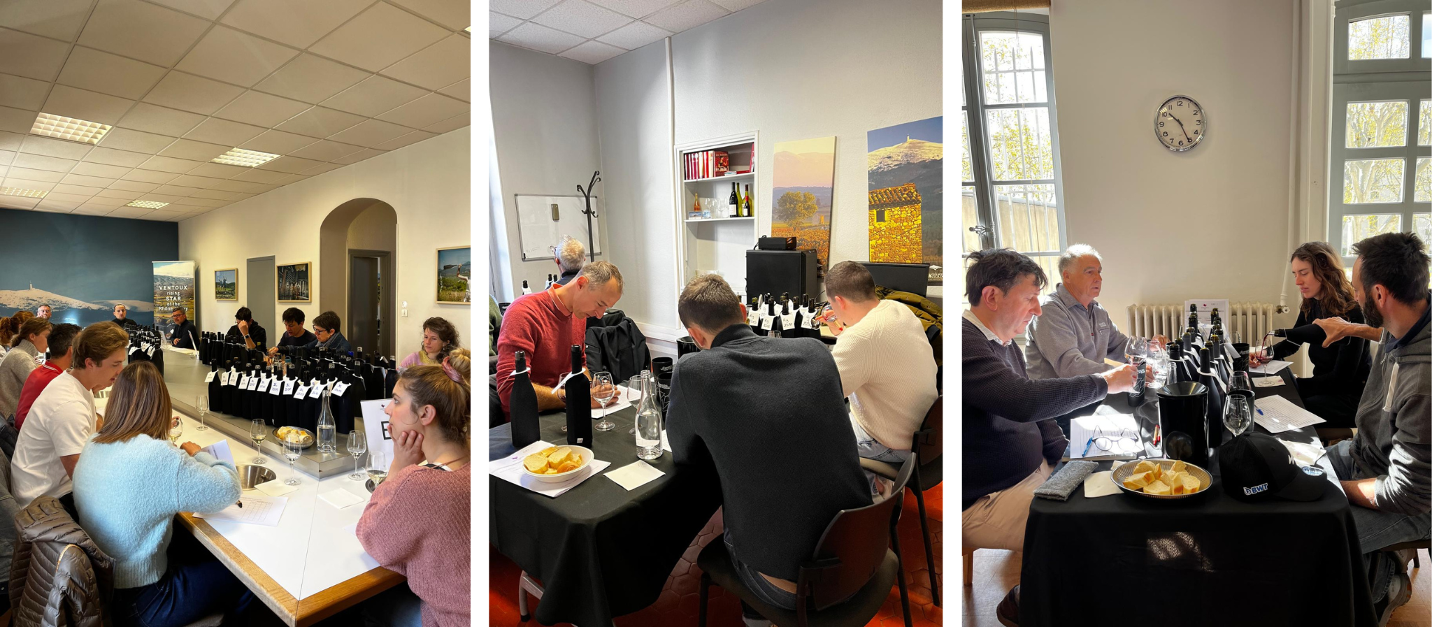 Retour sur la Sélection Interprofessionnelle des vins AOC Ventoux 2026