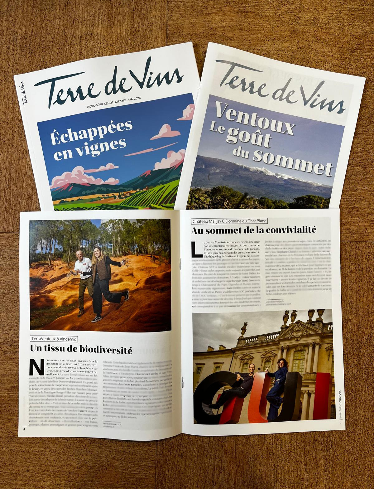 Revue de Presse - Terre de Vins : Ventoux, le goût du sommet !